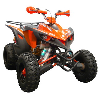 ATV Parts | Parts for ATV | China ATV Quad Parts | Chinese ATV Quad Parts